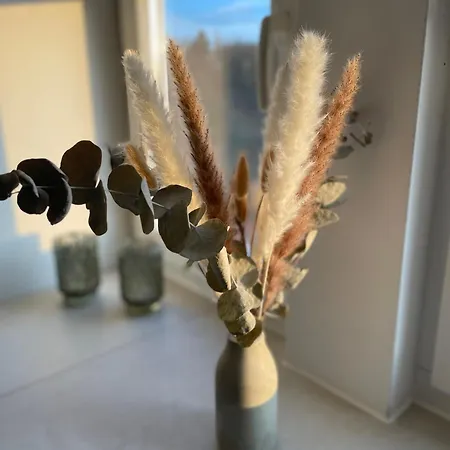 Elbhirsch Stilvoll Wohnen In Weisser Hirsch * Δρέσδη