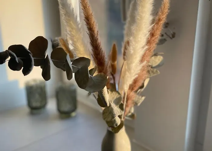 Elbhirsch Stilvoll Wohnen In Weisser Hirsch * Dresde