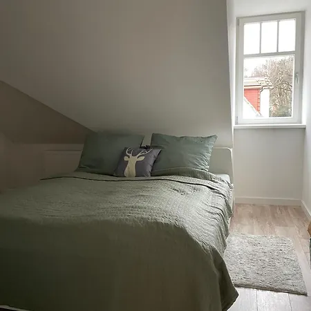 Elbhirsch Stilvoll Wohnen In Weisser Hirsch 德累斯顿