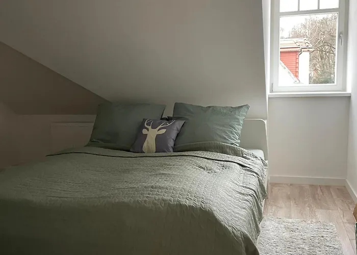 Elbhirsch Stilvoll Wohnen In Weisser Hirsch Drezno